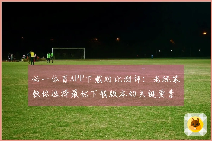 必一体育APP下载对比测评：老玩家教你选择最优下载版本的关键要素